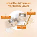 The Face Shop Rice & Ceramide Moisturizing Cream 50ml - Image 4