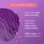 Fanola No Yellow Mask Anti-Yellow Mask 350ml - Image 3