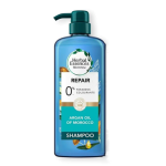 Herbal Essences Bio Renew Argan Oil of Morocco Repair Shampoo- 600ml